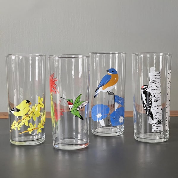 Birds Illustrated Glasses / Downy Woodpecker, Goldfinch, Bluebird &/or Hummingbird SINGLES