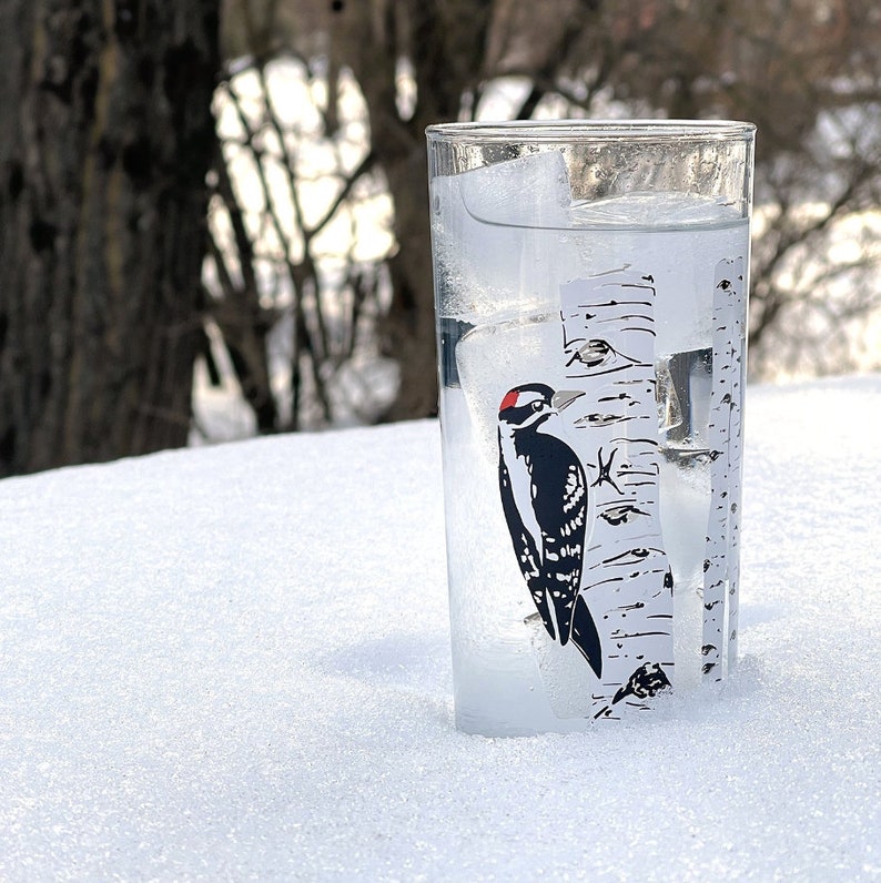 GIFT BOX Birds Illustrated Glasses / Downy Woodpecker, Goldfinch, Bluebird &/or Hummingbird Gift Box SET of 4 image 8