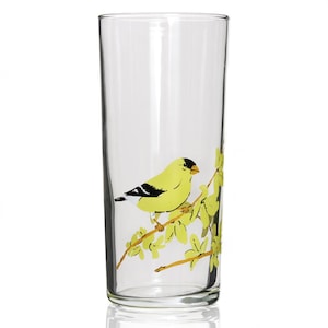 GIFT BOX Birds Illustrated Glasses / Downy Woodpecker, Goldfinch, Bluebird &/or Hummingbird Gift Box SET of 4 image 6