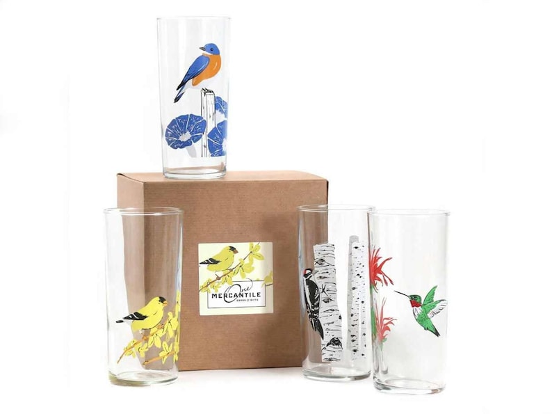 GIFT BOX Birds Illustrated Glasses / Downy Woodpecker, Goldfinch, Bluebird &/or Hummingbird Gift Box SET of 4 image 1