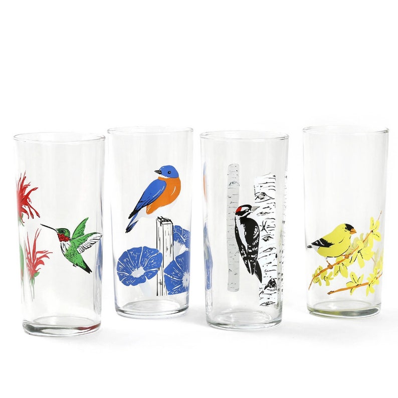 GIFT BOX Birds Illustrated Glasses / Downy Woodpecker, Goldfinch, Bluebird &/or Hummingbird Gift Box SET of 4 image 3