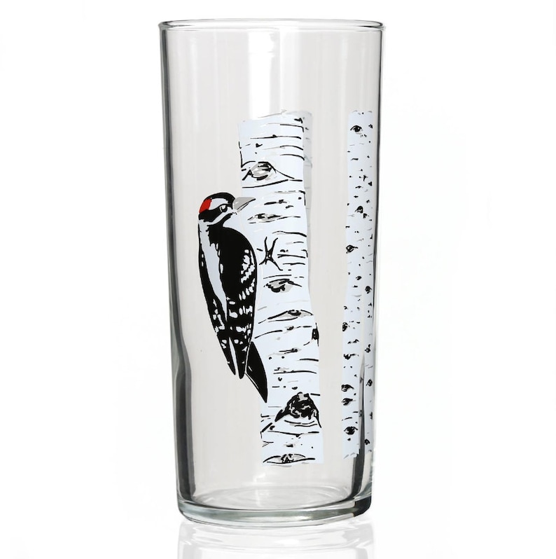 GIFT BOX Birds Illustrated Glasses / Downy Woodpecker, Goldfinch, Bluebird &/or Hummingbird Gift Box SET of 4 image 7