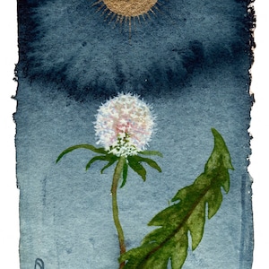 Dandelion Clock - A5 High Quality Print on 300g Gesso paper