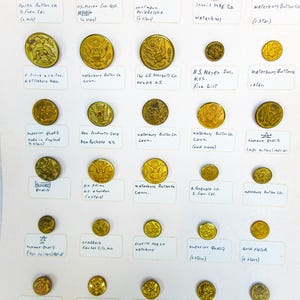 May include: Collection of vintage brass buttons, each with intricate designs and markings. Various sizes and shapes are displayed, including buttons from Pacific Button Co., N.S. Meyer Inc., and Waterbury Button Co. The buttons are arranged on a white surface.