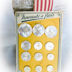 French Mother of Pearl Carved Buttons, French Nouveaute de Paris - Shell Buttons, Paris, Coat Buttons, Antique Buttons