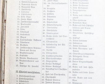 アンティークドイツ医学書：1928年版ケーニッヒ博士のガイド、第2巻