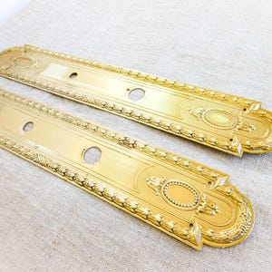 May include: Two elongated, rectangular brass door plates featuring a polished gold finish. Each plate displays a decorative border with a repeating leaf pattern, rounded ends, and two circular cutouts for hardware, accented by oval motifs.