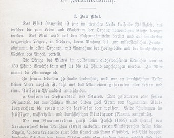 アンティークドイツ医学書：1928年版ケーニッヒ博士のガイド、第2巻