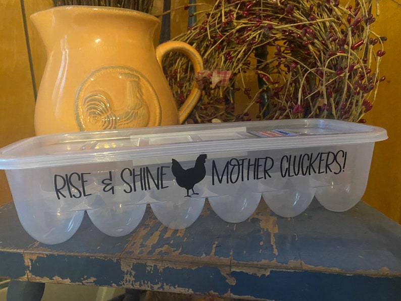 Plastic Reusable Egg Cartons With Funny Sayings. Etsy