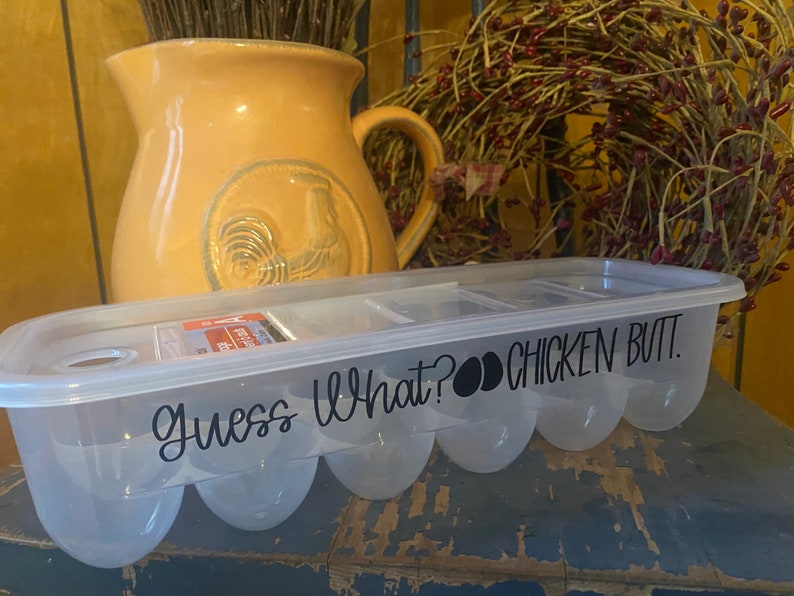 Plastic Reusable Egg Cartons With Funny Sayings. Etsy