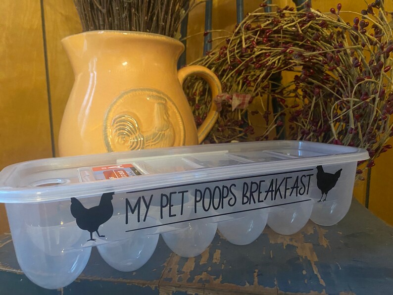 Plastic Reusable Egg Cartons With Funny Sayings. Etsy