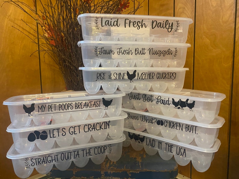 Plastic Reusable Egg Cartons With Funny Sayings. Etsy