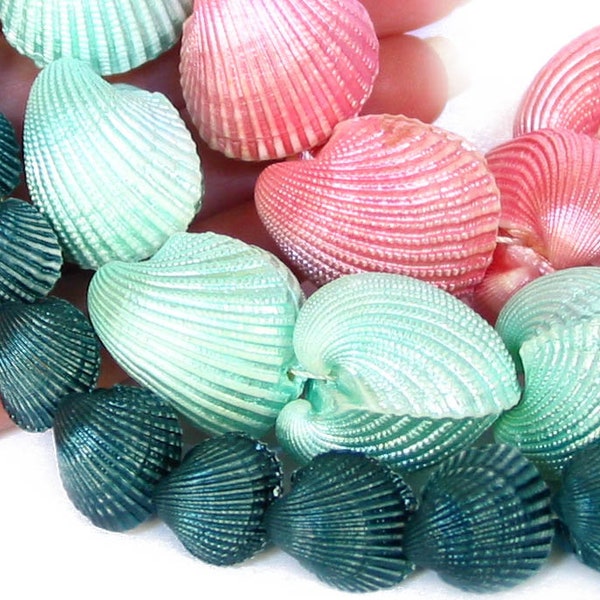 15" WHOLE Clam shell 12mm 14mm 18mm double sided natural shell beads - metallic Purple - Teal - Aqua Blue - full strand