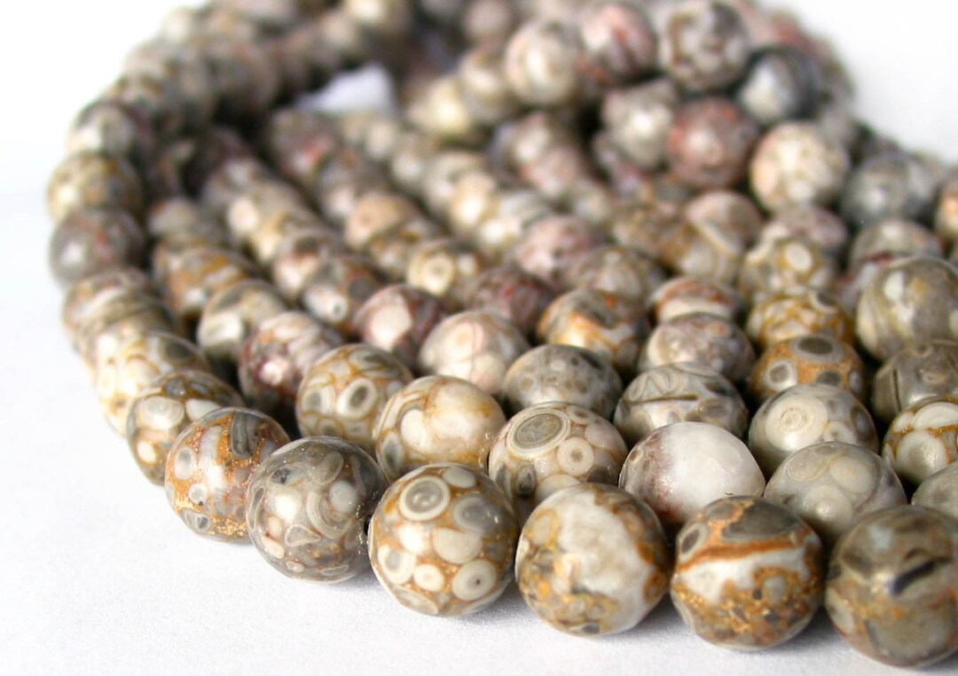 15 8mm 10mm Ocean Fossil Jasper Natural Color Round Gemstone Beads Grey