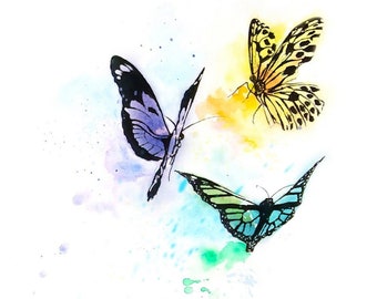 Colorful Butterfly Art Print Watercolor Painting by Eric Sweet