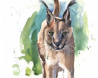 Caracal Original Watercolor Painting by Eric Sweet