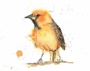 Oriole Watercolor Bird Art Print by Eric Sweet
