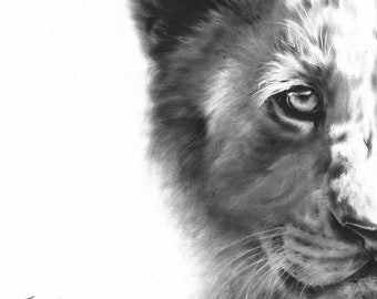 Lion Cub Print - Black and White Wildlife Art