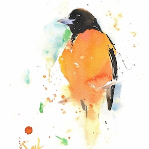 Impression d&#39;art peinture aquarelle oriole de Baltimore par Eric Sweet
