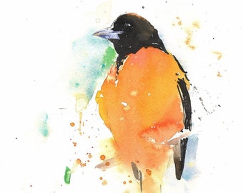 Baltimore Oriole Bird Watercolor Painting Art Print by Eric Sweet