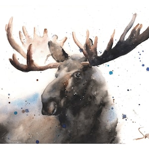 Canadian Moose Watercolor Painting Art Print by Eric Sweet