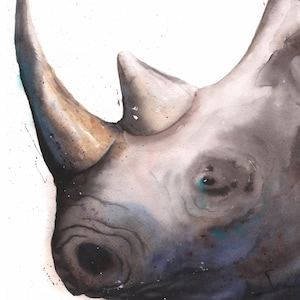 White Rhino Watercolor Painting Art Print by Eric Sweet