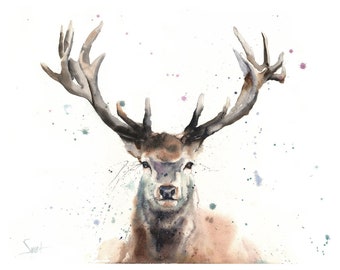 Elk Watercolor Painting Portrait Art Print by Eric Sweet