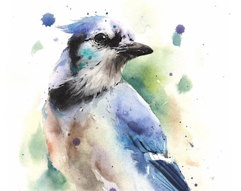 Perched Blue Jay Print Watercolor Painting Art Decor by Eric Sweet