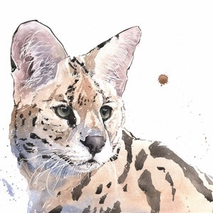 Op de afbeelding: Waterverf schilderij van een Serval kat met bruine, zwarte en witte markeringen. De kat kijkt naar rechts in de afbeelding met zijn hoofd lichtjes gekanteld. De achtergrond is wit met een paar bruine verfspatten.