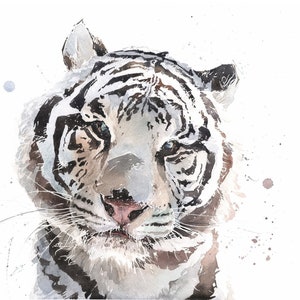 White tiger watercolor wall art - tiger painting, wildlife wall art, jungle animal art, feline wall decor, exotic nature print