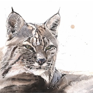Bobcat watercolor wall art - lynx wall art, wild cat portrait, nature-inspired wildlife painting, rustic lodge decor, feline artwork