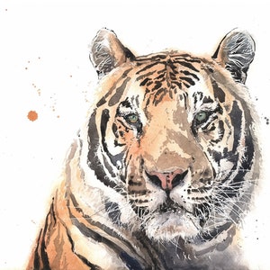 Tiger Watercolor Big Cat Painting Art Print by Eric Sweet