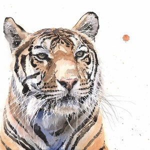 Tiger Watercolor Art Print - Wildlife Portrait Painting