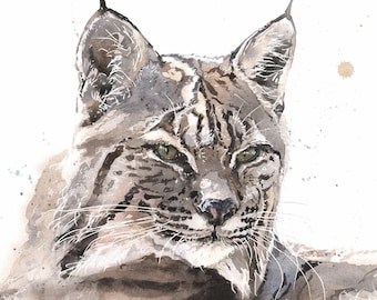 Bobcat-aquarelkunstdruk - portret in het wild - cabinedecor - cadeau kattenliefhebber