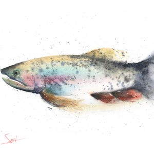 Impression d'art peinture aquarelle poisson truite arc-en-ciel par Eric Sweet