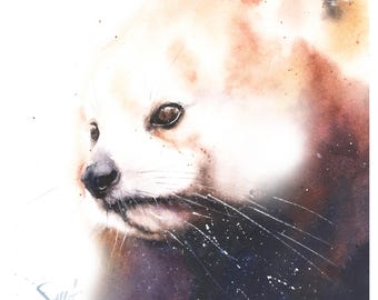 Watercolor Red Panda Print - Animal Nursery Wall Art