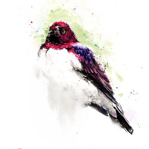 Violet Backed Starling Watercolor Bird Painting Art Print by Eric Sweet