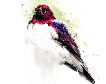 Violet Backed Starling Watercolor Bird Painting Art Print by Eric Sweet