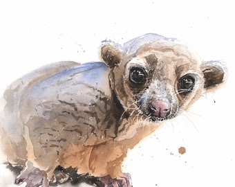 Kinkajou Watercolor Painting Art Print by Eric Sweet