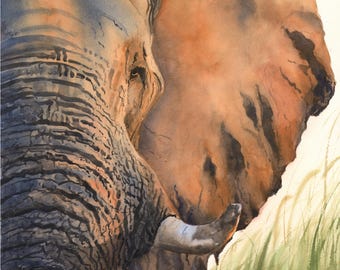 Elephant Portrait Watercolor Painting Art Print by Eric Sweet