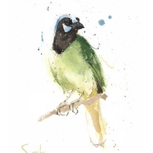 Green Jay Bird Watercolor Painting Art Print by Eric Sweet