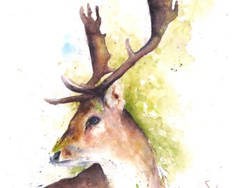 Buck Watercolor Print - Deer Painting, Animal Decor