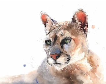 Cougar Watercolor Painting Illustration Art Print by Eric Sweet