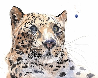 Leopard Watercolor Portrait Painting Art Print by Eric Sweet