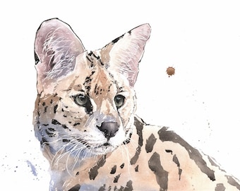 Serval Cat Watercolor Painting Art Print by Eric Sweet