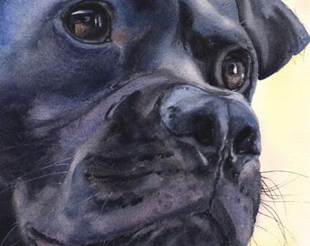 Custom Watercolor Pet Portrait Painting – Dog, Cat Memorial Art