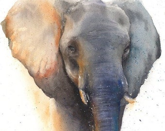 African Elephant Watercolor Art Print by Eric Sweet