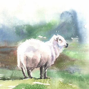 Schapen aquarel schilderij kunstafdruk door Eric Sweet