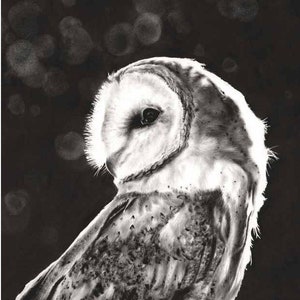 Barn Owl Painting Black and White Art Print by Eric Sweet