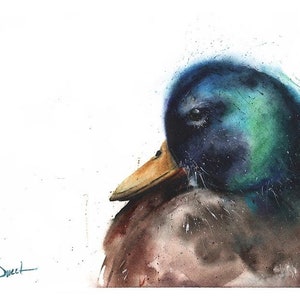 Mallard Duck Watercolor Bird Art Print by Eric Sweet